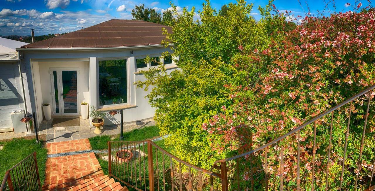 Casale Cardini Guest House Foiano Della Chiana Ngoại thất bức ảnh
